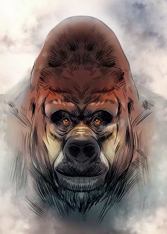 GORILLA