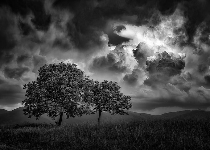 Awaiting the storm
