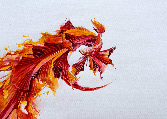 Ignite