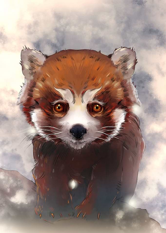 RED PANDA