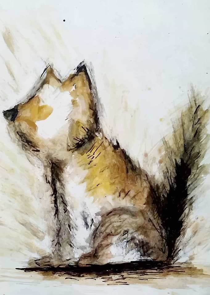 fox