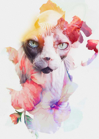 Flowers cat