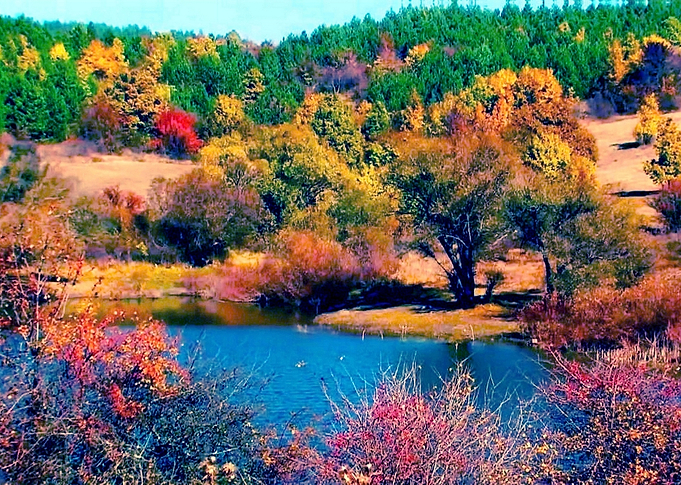 Autumn
