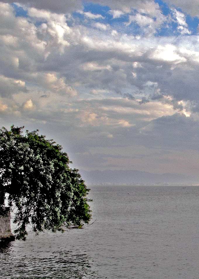 Sacco-Brasil_3
