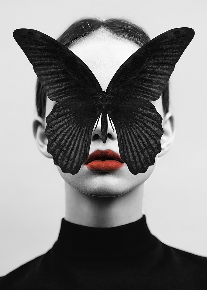 BLACK BUTTERFLY