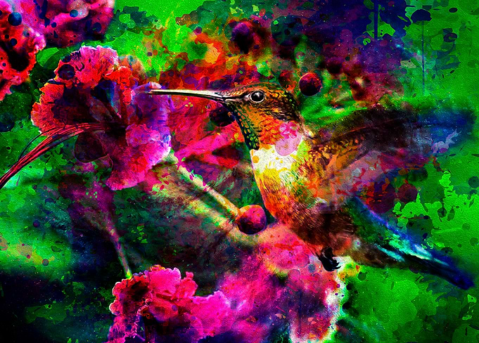 Dream with a hummingbird