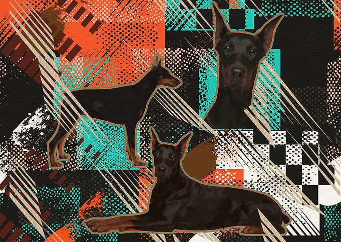 Doberman Pinscher