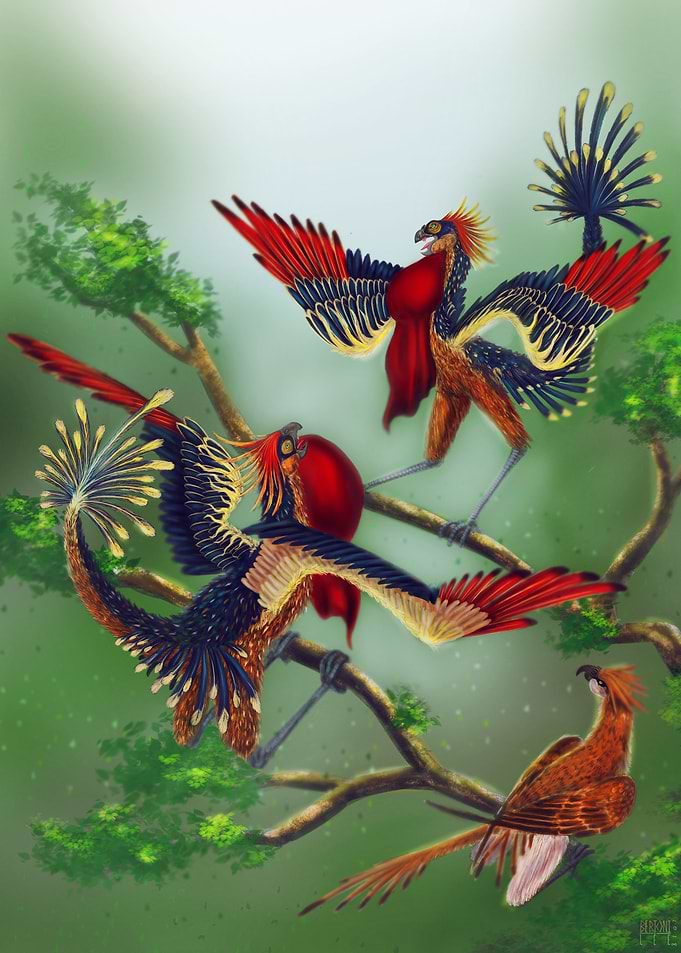 Mating dance