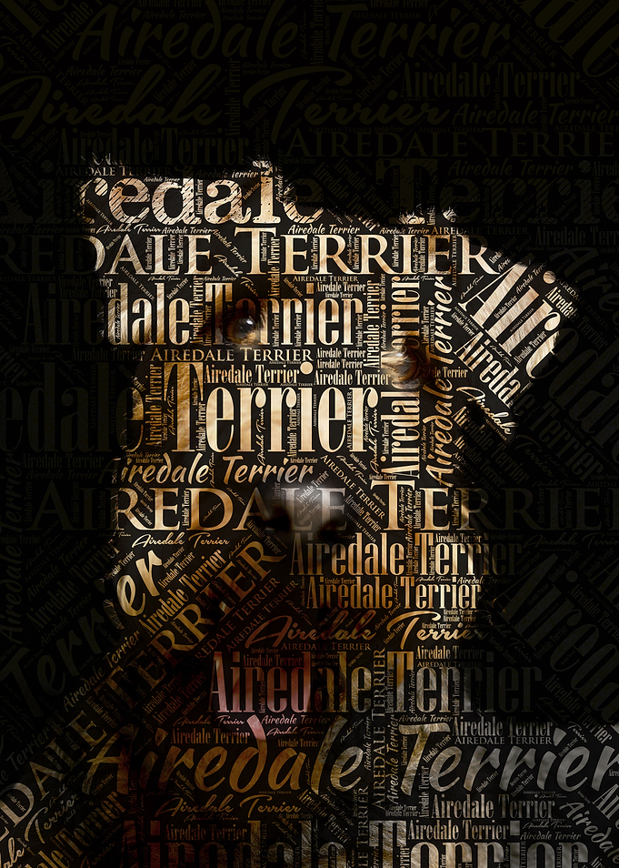 Airedale Terrier