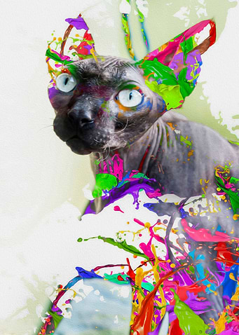 Psychedelic cat