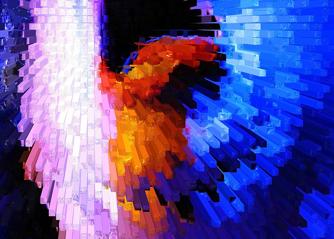 Night Wings