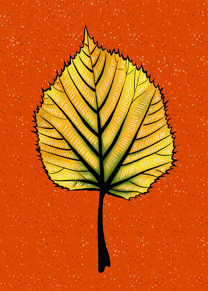 Yellow Linden Leaf