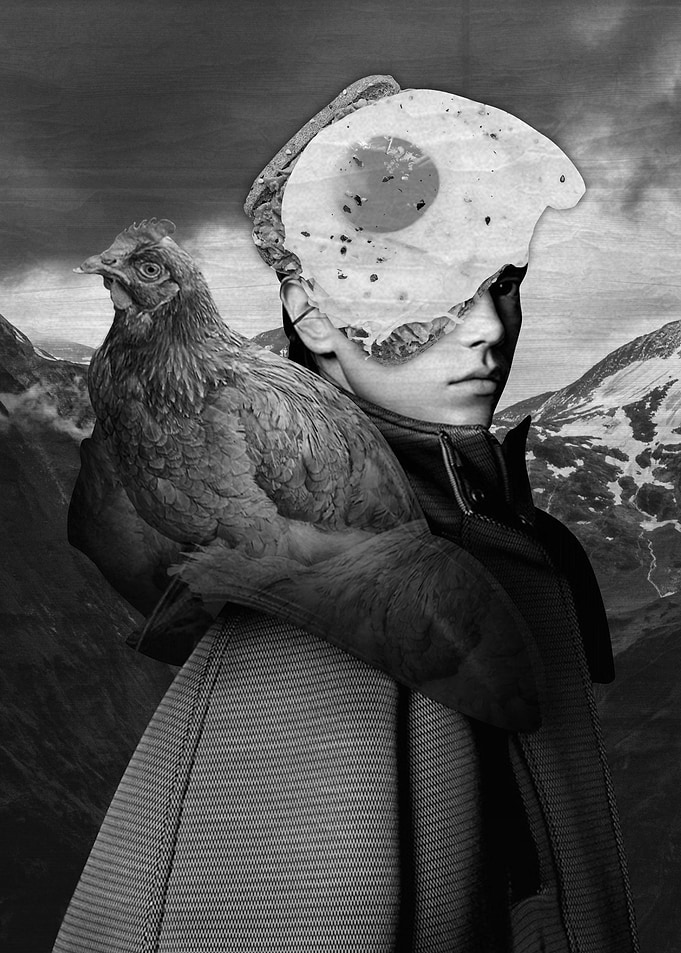 Hen Fairy