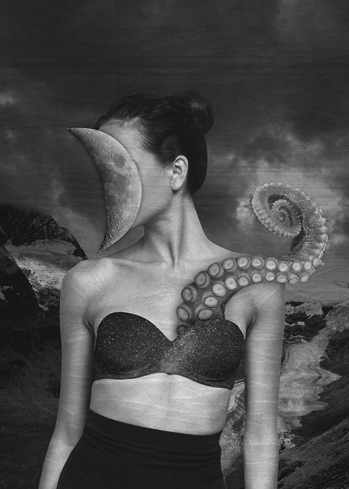 Octopus Fairy