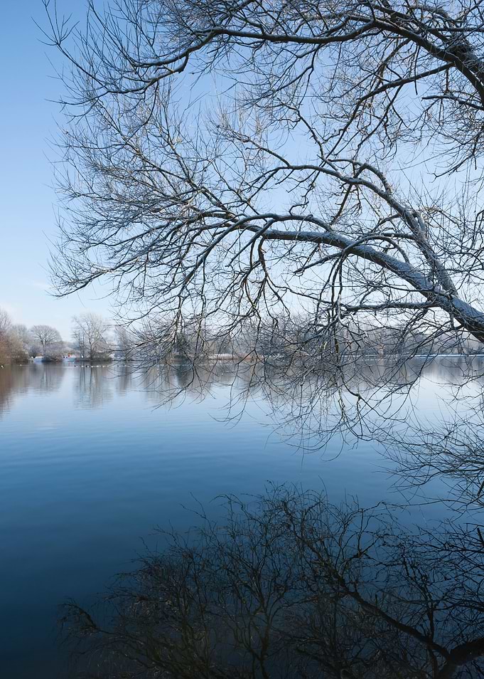 Cold Lake