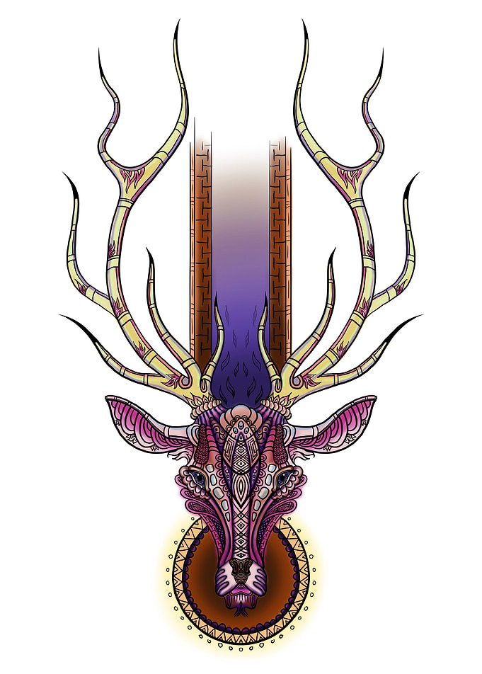 Deer