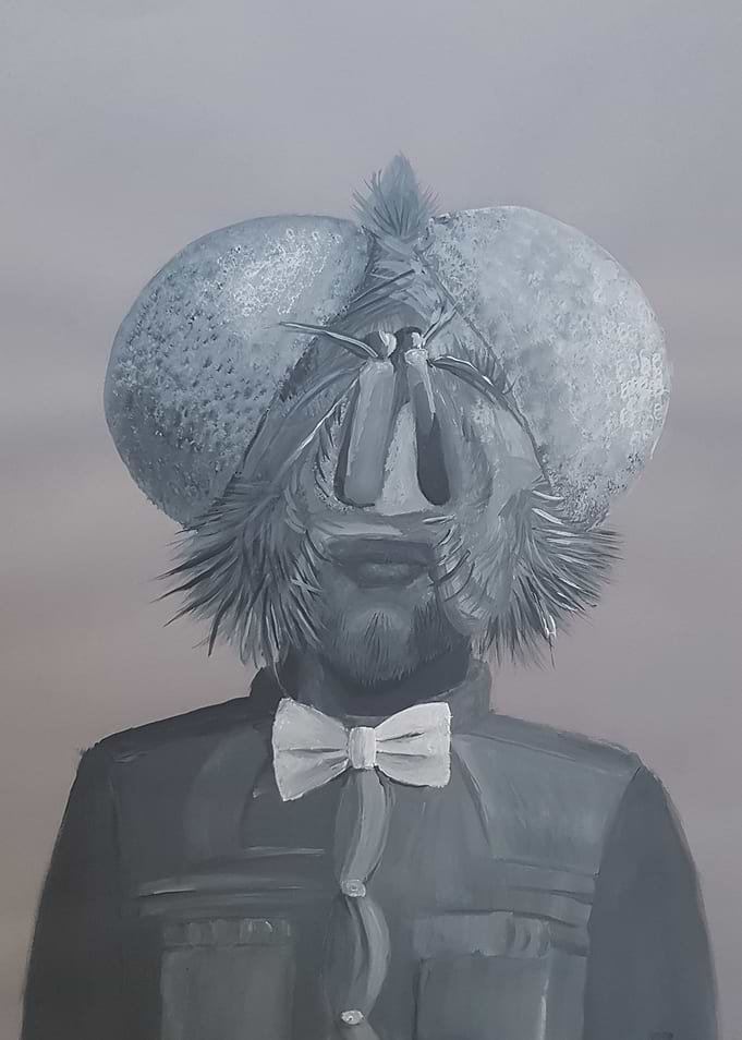 Mr Fly