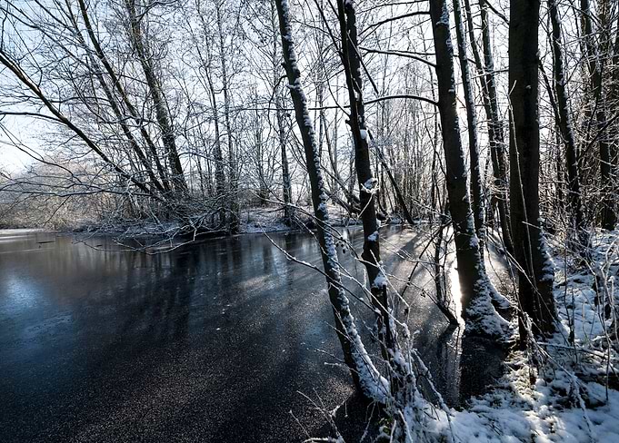 Winter Shadows