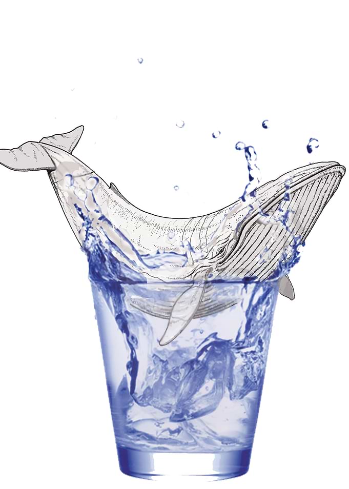Fish out of water