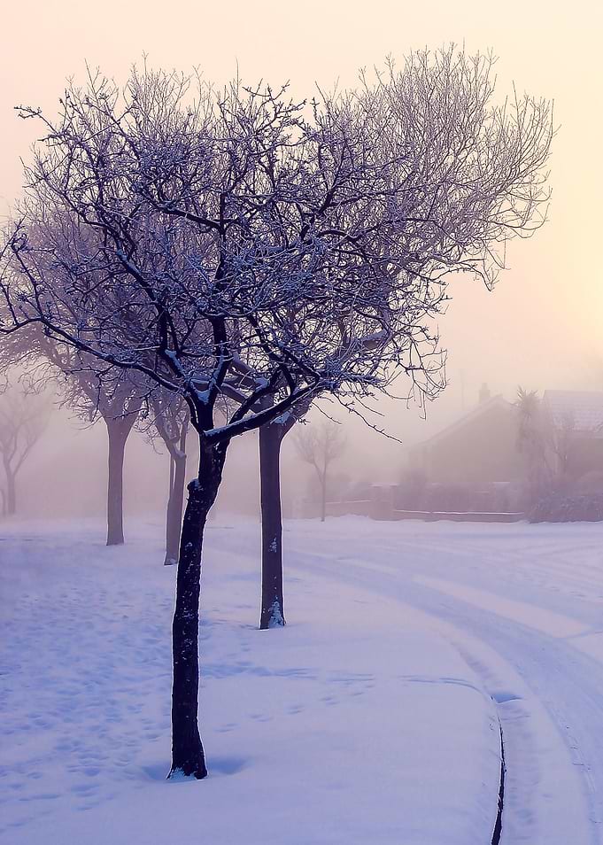 Hazy Winter Morning