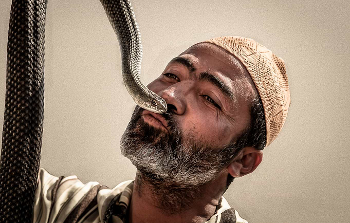 SNAKE CHARMER