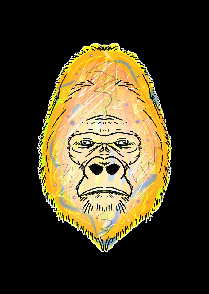 Gorilla