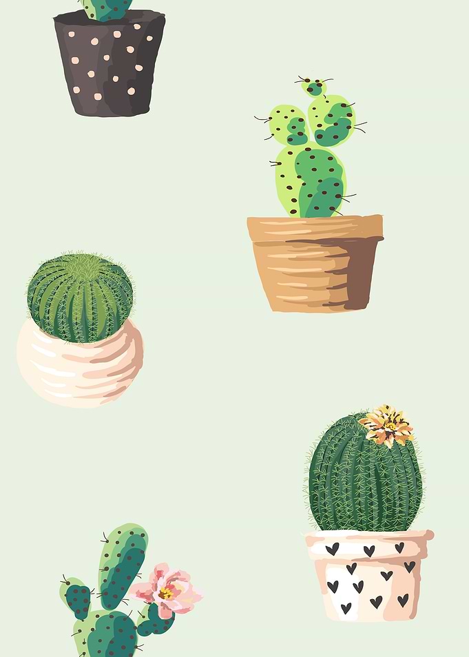 Cactus Pots