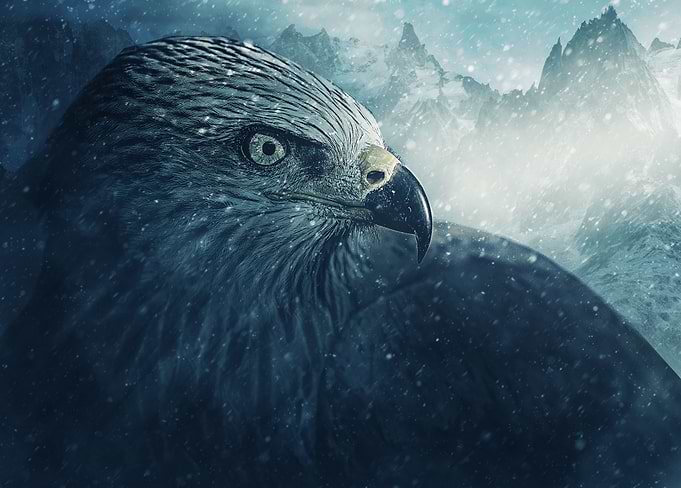 Eagle King
