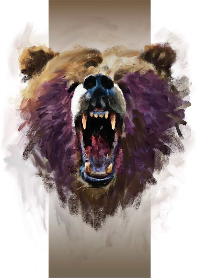 Bear
