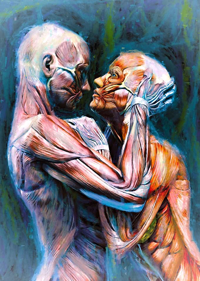 Anatomy of Love