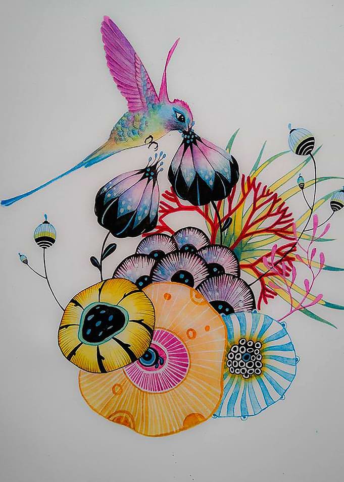 Hummingbird