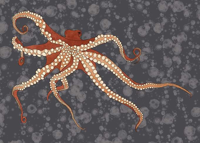 Rad Orange Octopus