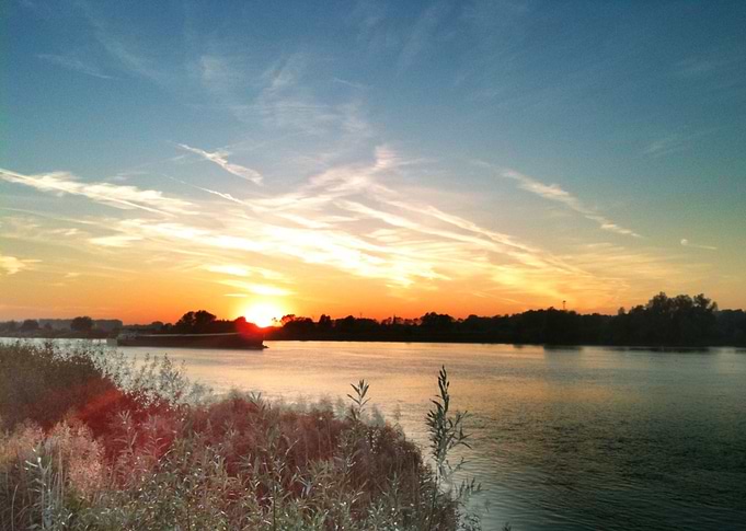 Sunset Temse