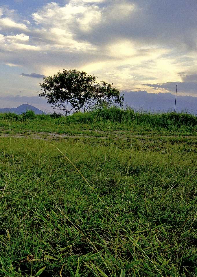 Sacco-Brasil_4