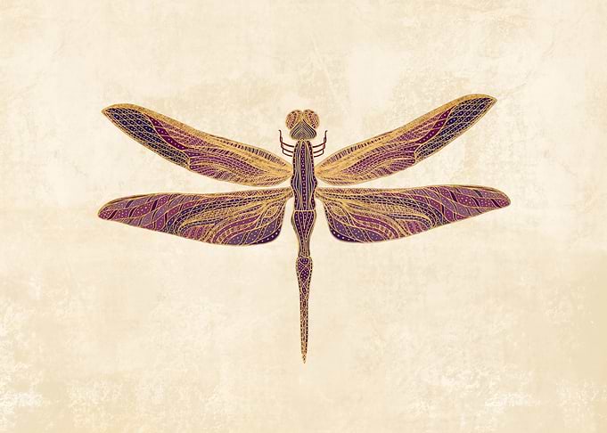 Art Nouveau Dragonfly
