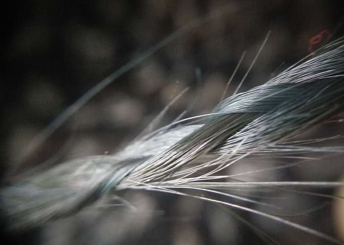 Own Fibres