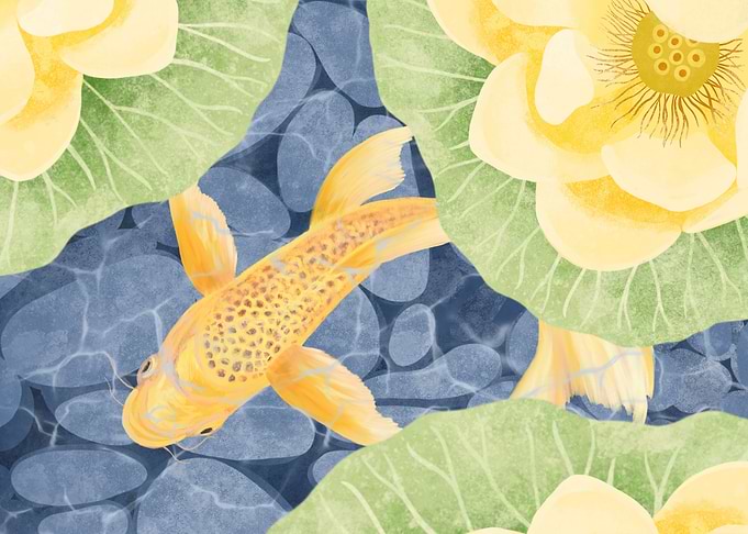 Koi Pond