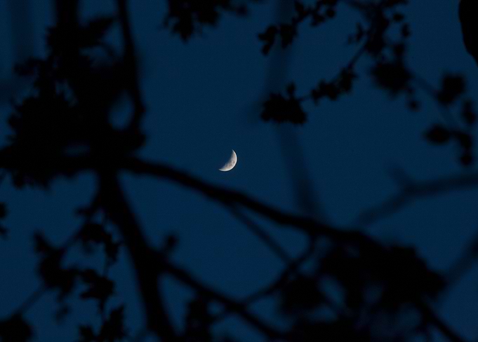 Night tales