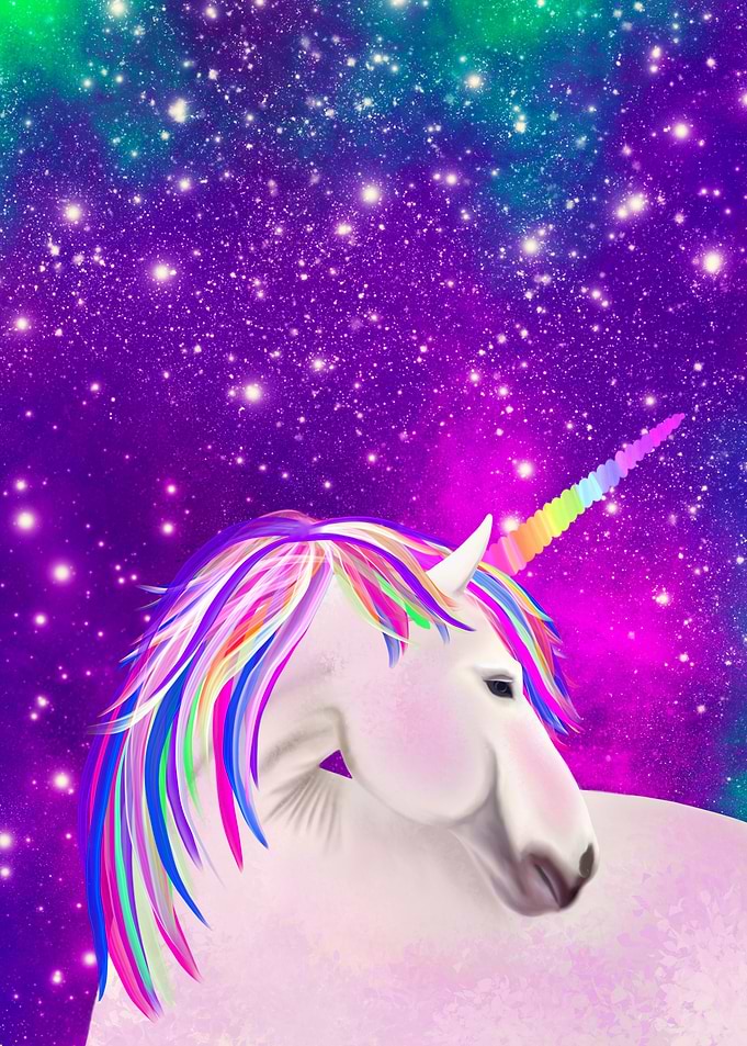 Galaxy Unicorn