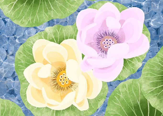 Two Lotus
