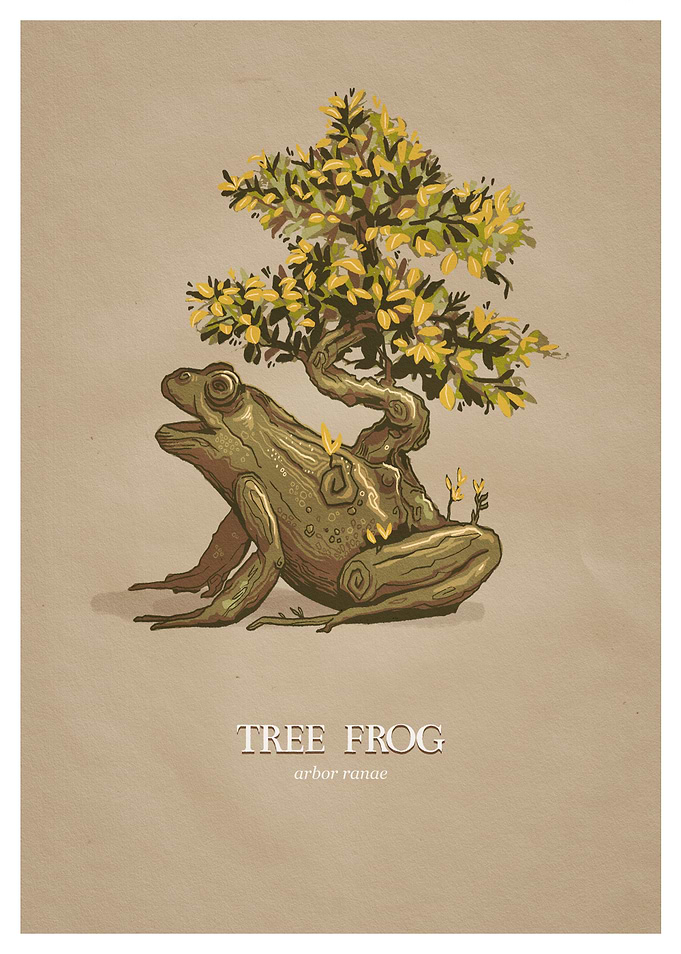 Tree Frog