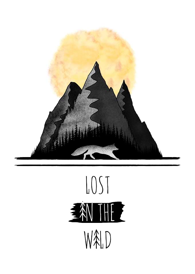 Lost In The Wild