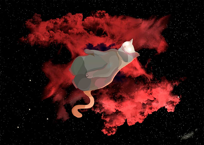 Celestial Body Cat