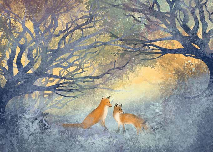 Two Foxes