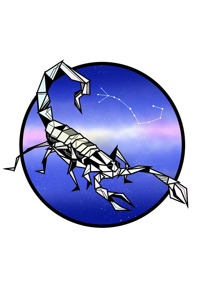 Scorpio Star Sign Scorpion