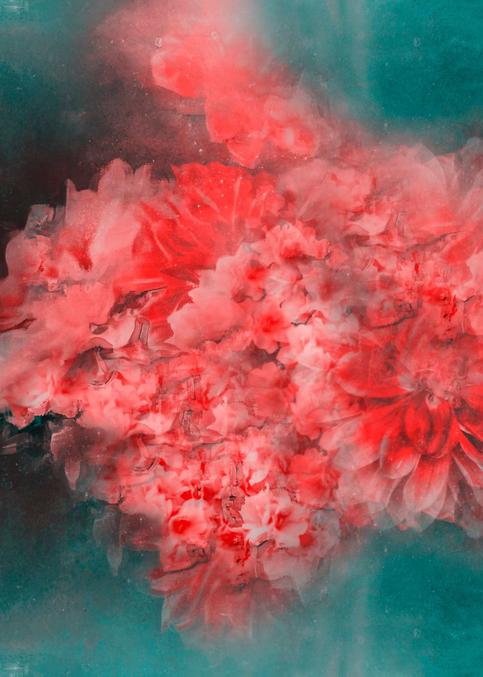 Abstract Red Flowers