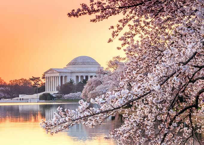 DC 03