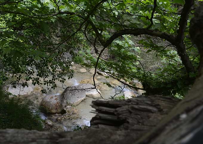 River nature