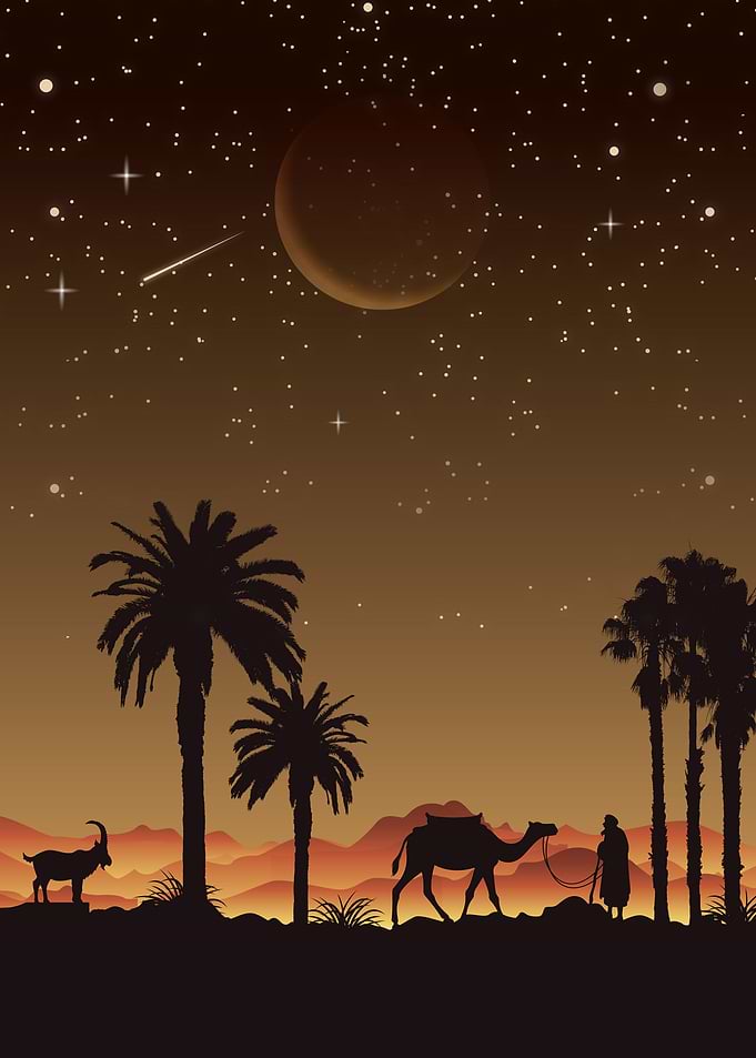The magical journey