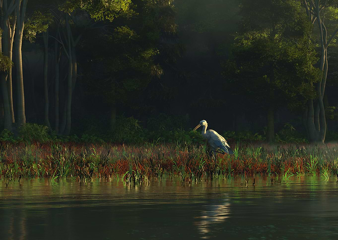 Mistwood Fen